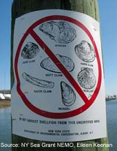 No Shellfishing!