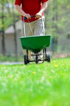 man applying fertilizer