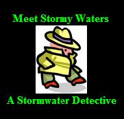 stormy detective